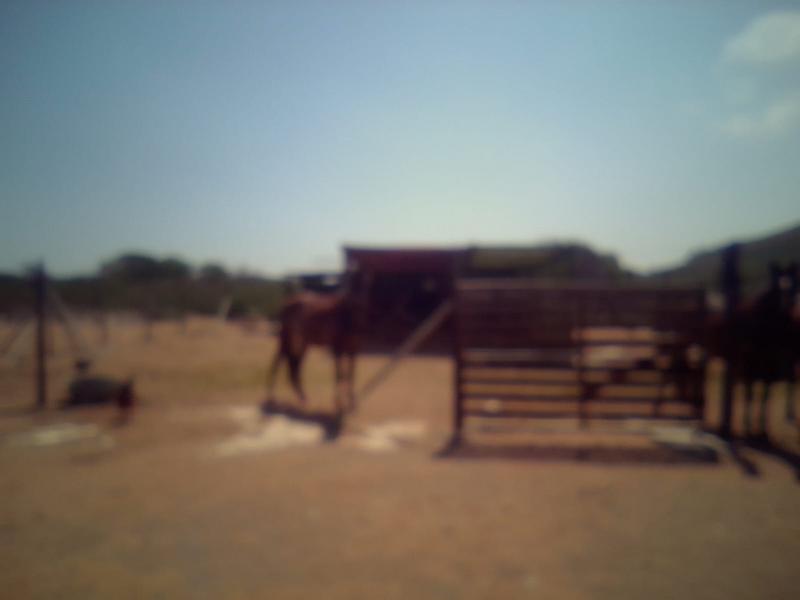 3 Bedroom Property for Sale in Franskraal Western Cape